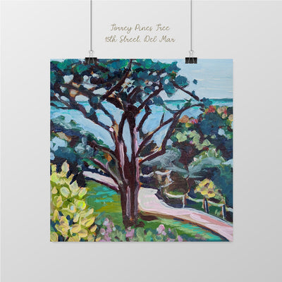 Torrey Pines Tree, 15th Street, Del Mar, Seagrove Park - Sunny-Creek-Studios